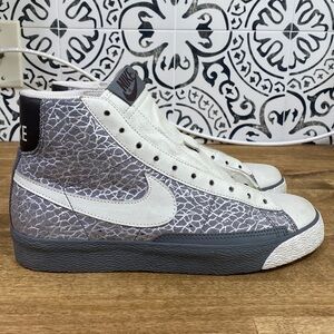Nike Blazer Iridescent Metallic Summit Sneakers